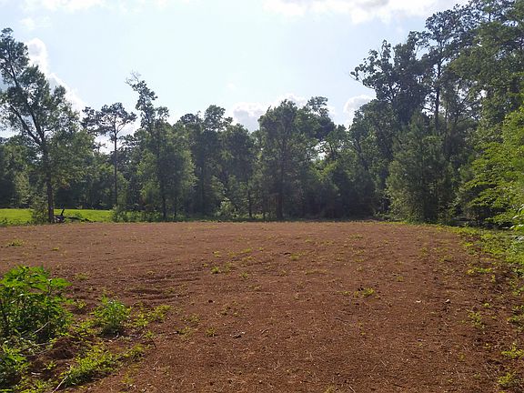 View from driveway
