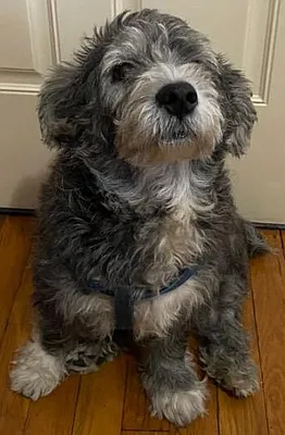 Sold by Queens Real Estate Team | media 13