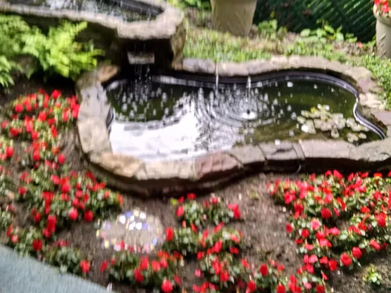 Pond below deck