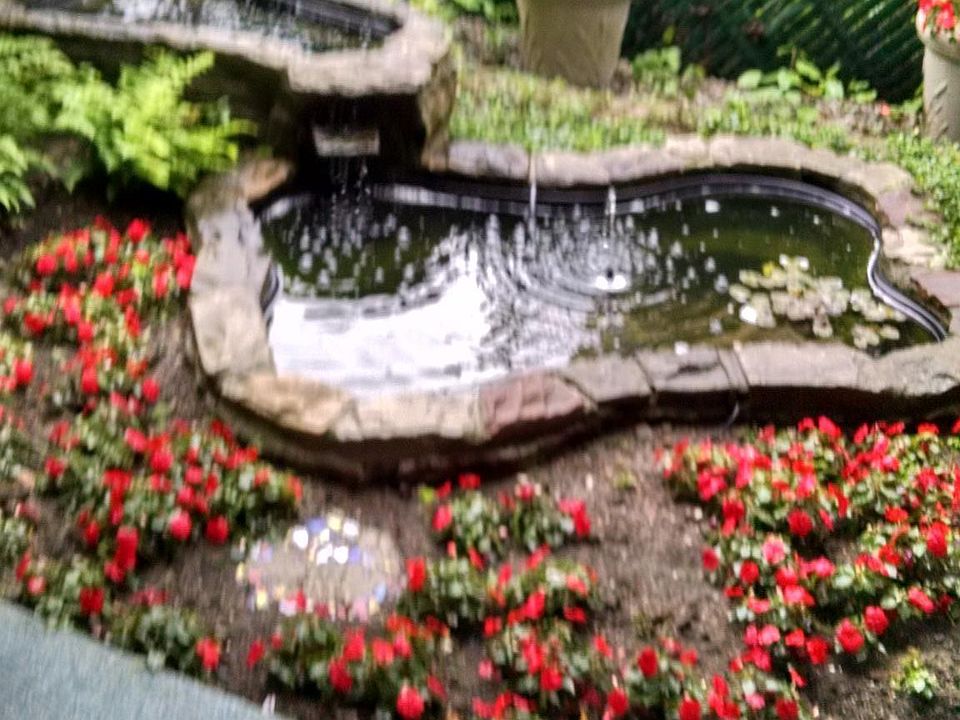 Pond below deck