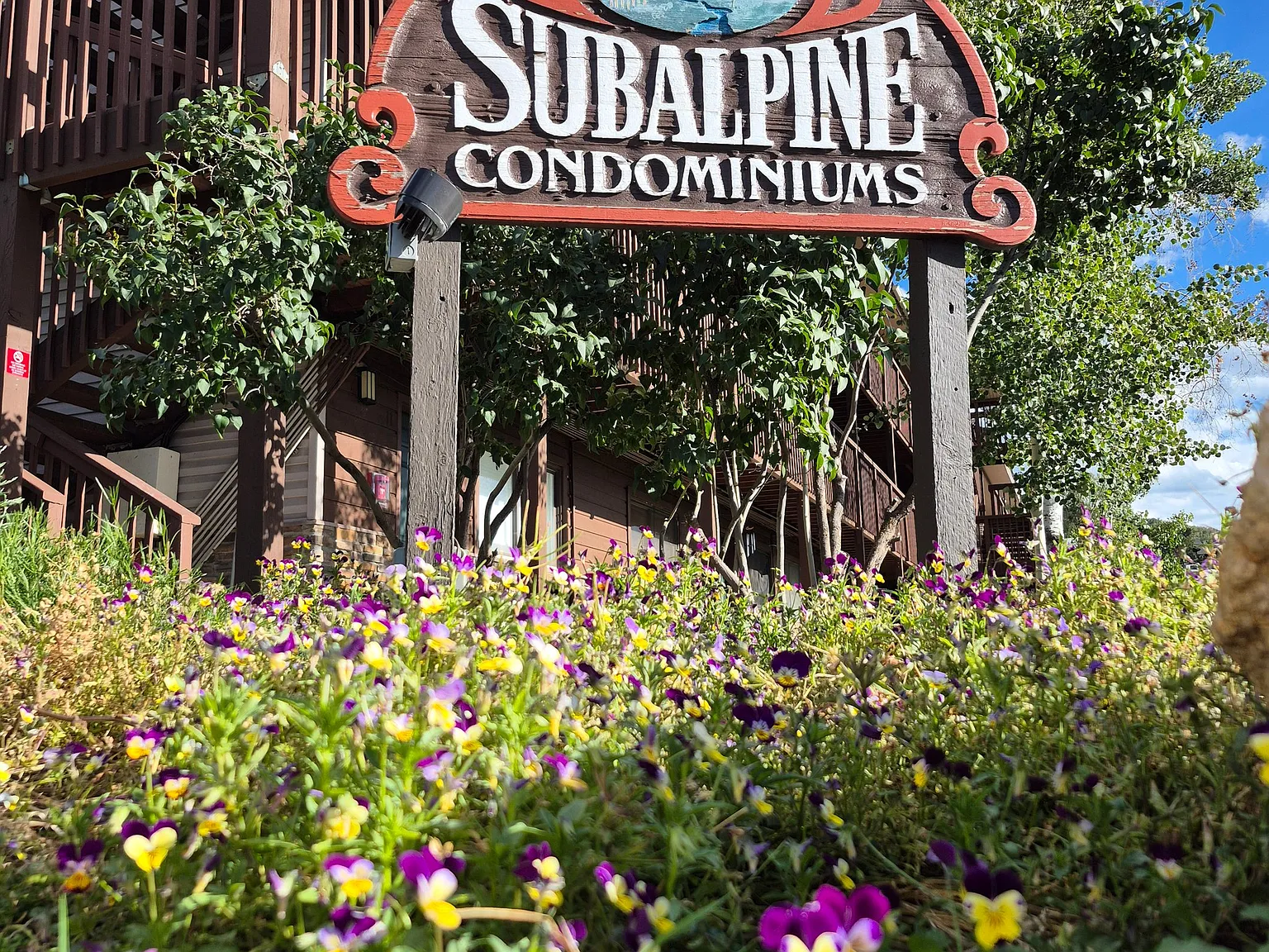 Subalpine 2 Bedroom 1 Bath — Photo 4