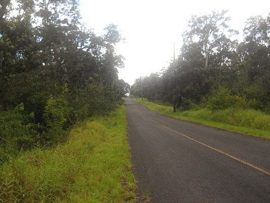 2nd image of Orchid Pkwy Lot 17