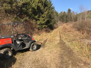 705 Dunbar Rd, Windsor, NY 13865