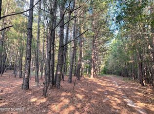 7106 Wire Grass Rd, Orrum, NC 28369