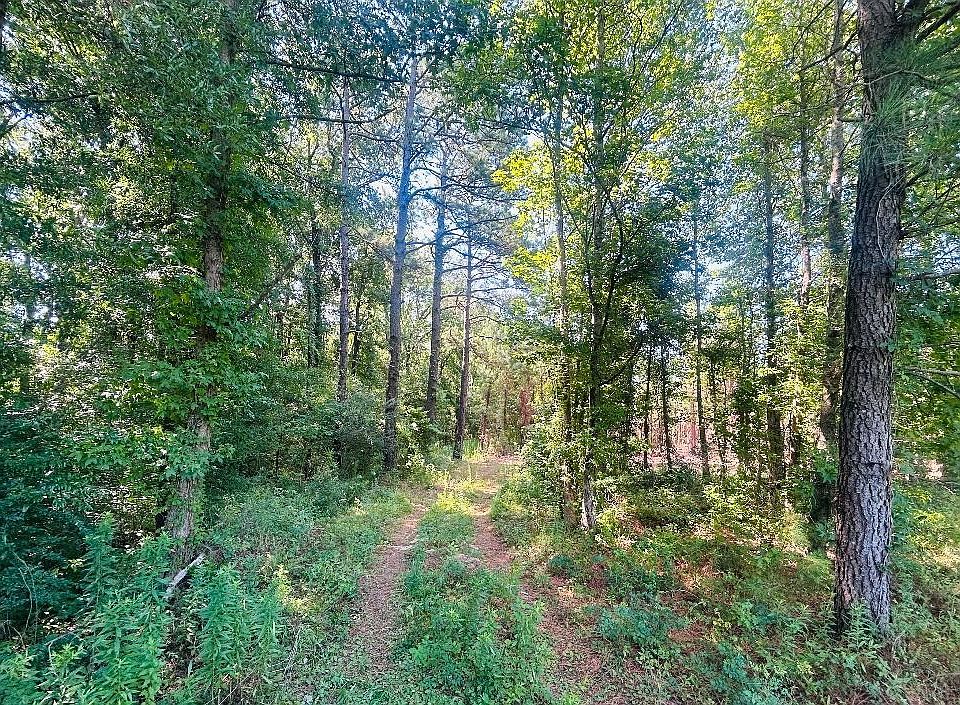 1st image of 18.58 Acres - Turkey Ln