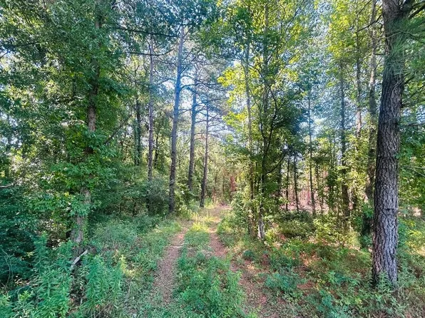 18.3 Acres - Turkey Ln, Kingstree, SC 29556