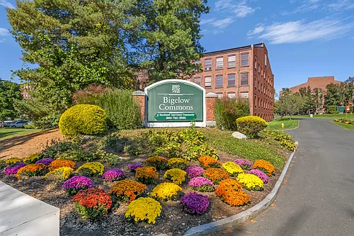 Bigelow Commons Photo 1
