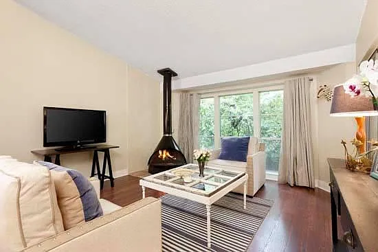 Large 1/1 living room w/ fireplace (standard)