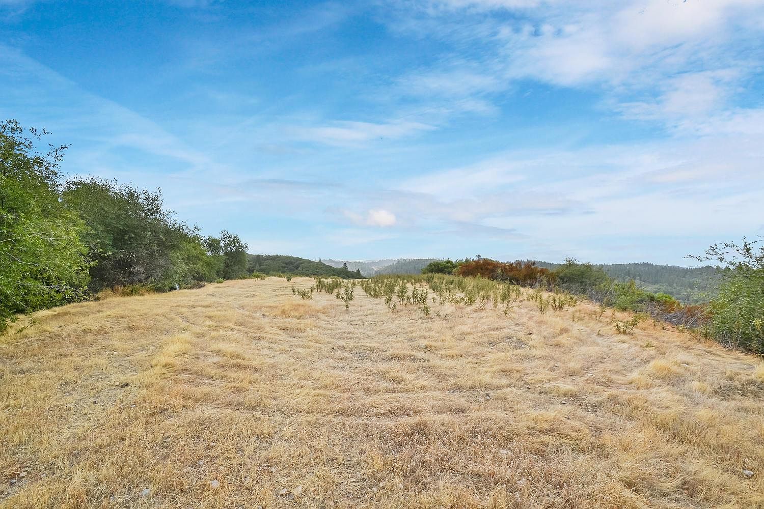 14255 Quartz Mountain Rd E, Sutter Creek, CA 95685 MLS 222022707