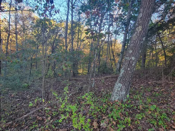 0 Gough Ln, Newport, PA 17074