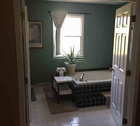 Master Bath Jacuzzi tub