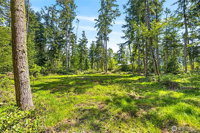 3rd image of 0 Evergreen Lane