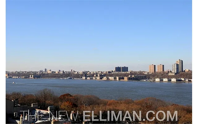 Sold by Douglas Elliman | media 8
