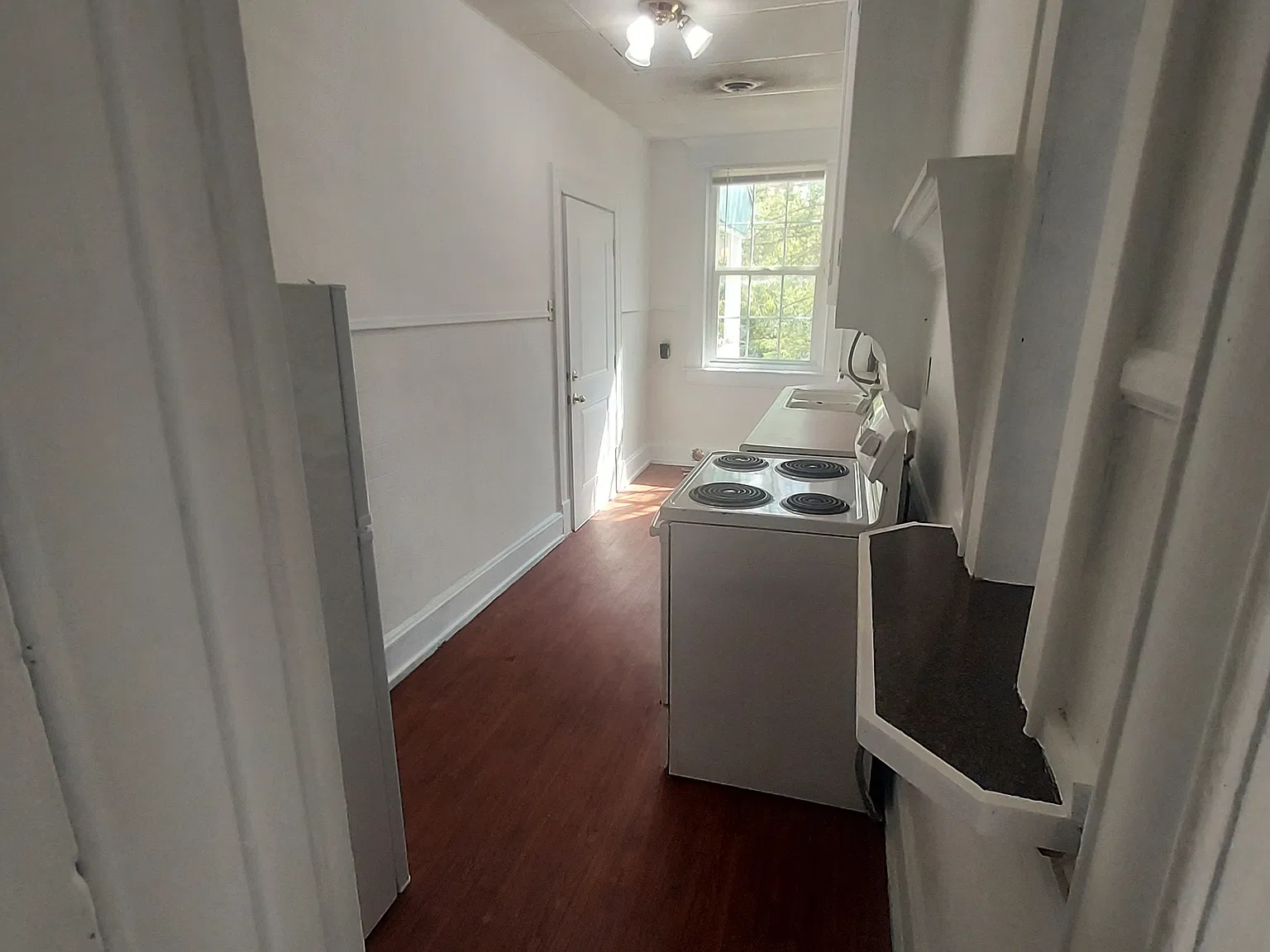 1 bed, $750 — Photo 3