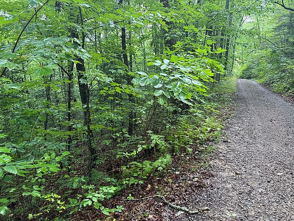 2nd image of 14 Cedar Hill Rd