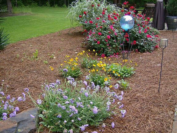 lanscaping along patio 