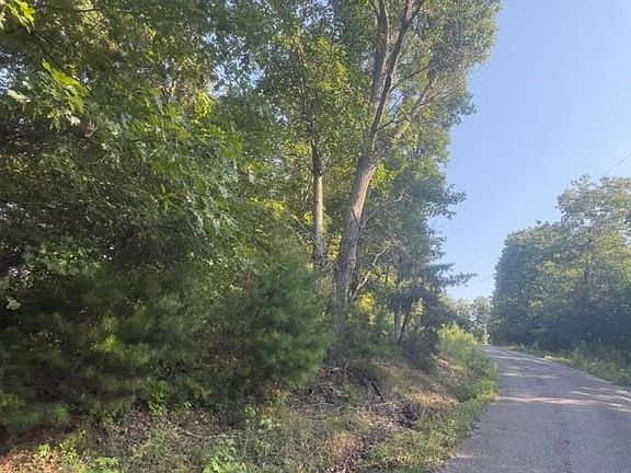 4th image of TRACT 2 Belew Hollow Rd