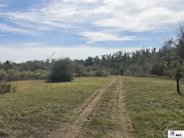104 Luther Horn Rd, Rayville, LA 71269