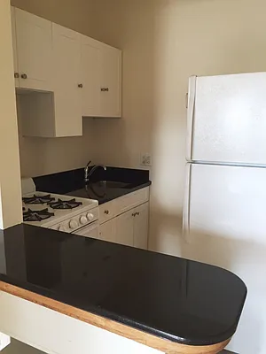 Rented by Citi Habitats | media 8