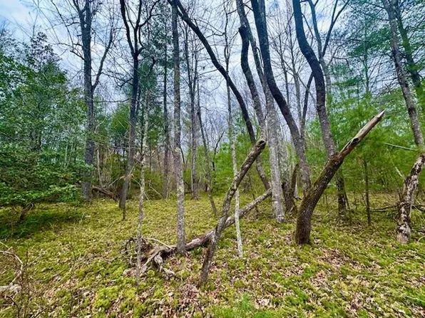 144 Gunter Place Rd Lot 4, Sunbright, TN 37872