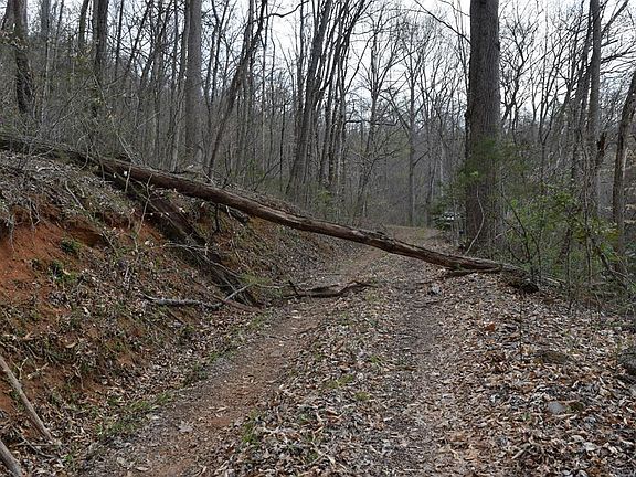 2nd image of Bel Air Rd