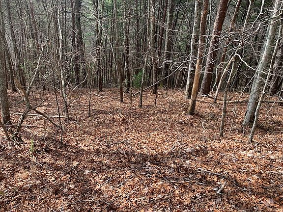 2nd image of Lot 20 Wolf Ridge Lane LOT 20