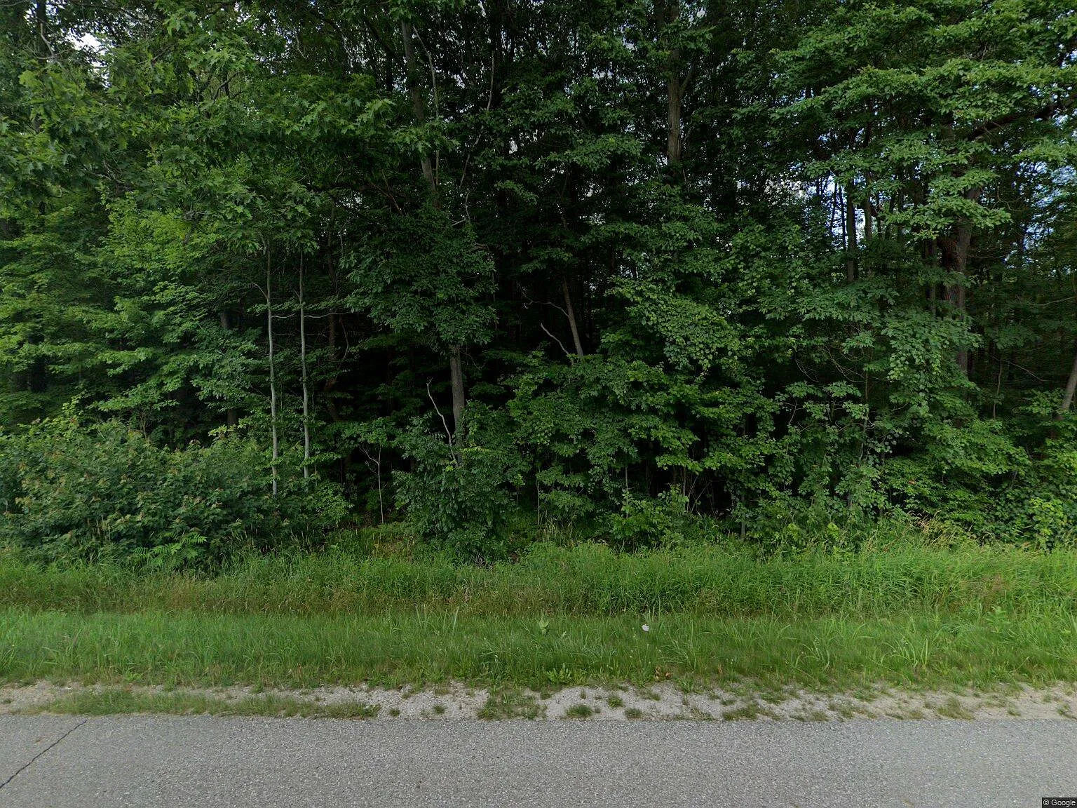 47458 Michigan #140 photo 1