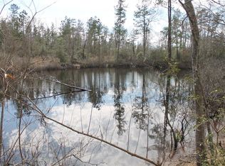 470 Baskin Loop, Livingston, TX 77351