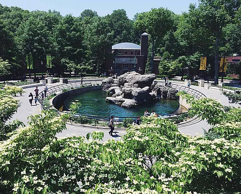 Rented by null | media 17