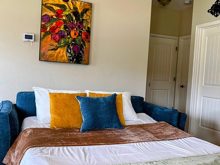 Sofa Sleeper - Living room