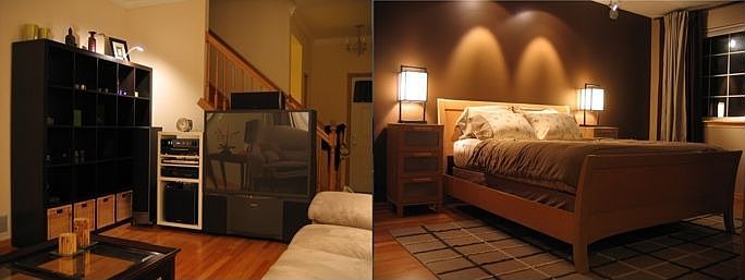 Living Room/Master Bedroom