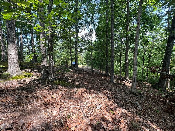 5th image of 2700 Sulphur Creek Rd