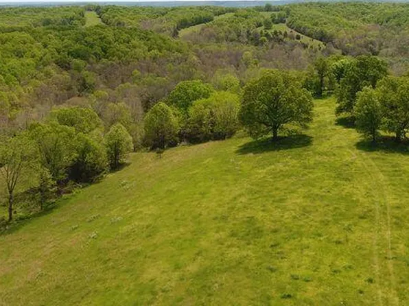 11lot D Farm Road 2080, Aurora, MO 65605