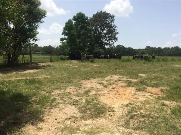 21240 Schenks Rd, Amite, LA 70422