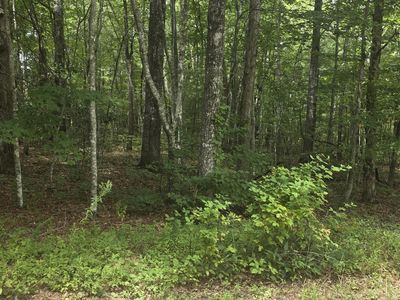 13 Yorkshire Ter, Fairfield Glade, TN, 38558