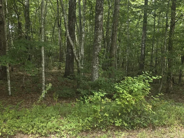 13 Yorkshire Ter, Fairfield Glade, TN 38558