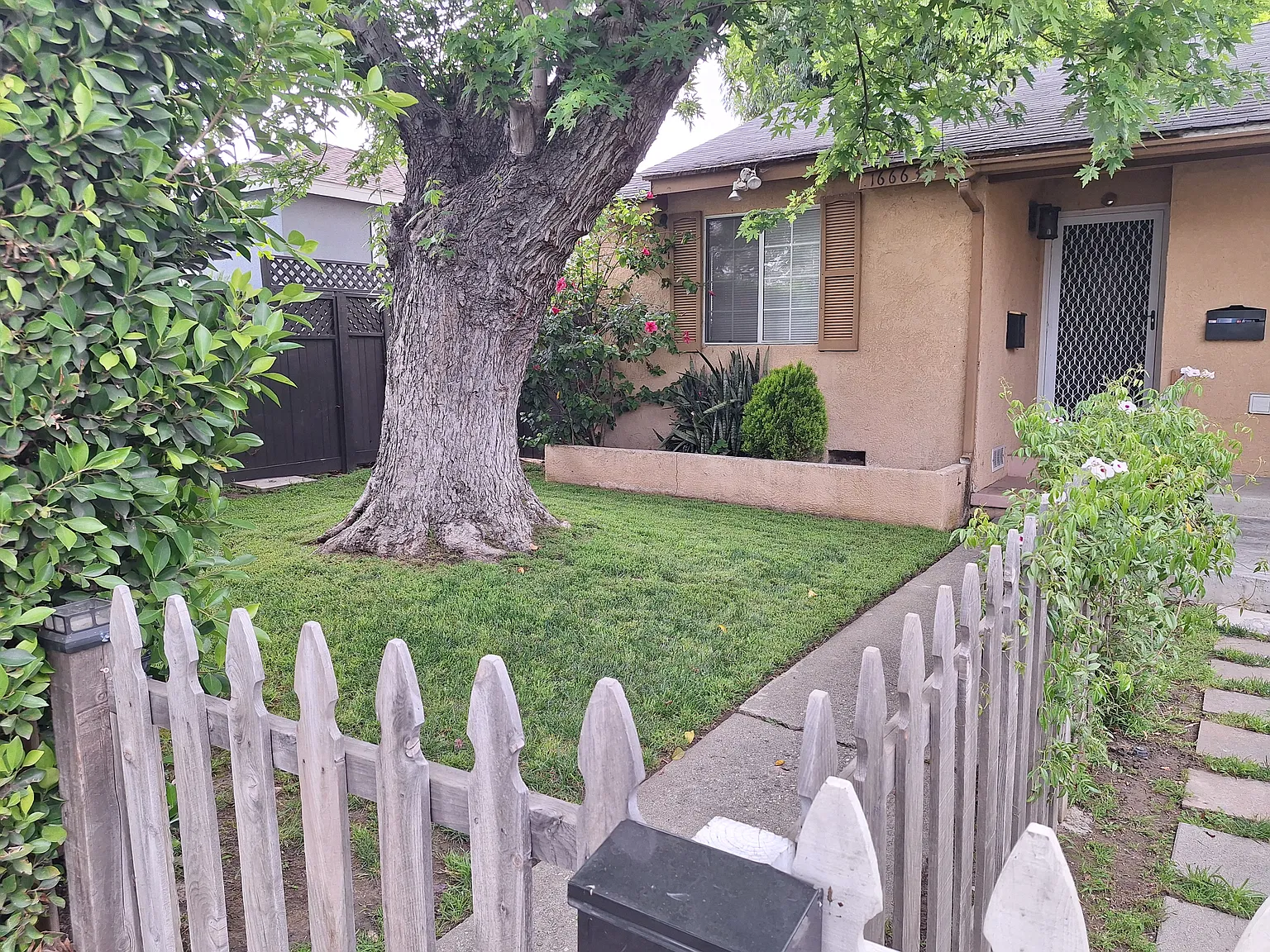 1 bed, 750 sqft, $2,300 — Photo 1