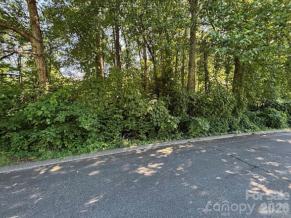4th image of V/l Woodland Dr #11