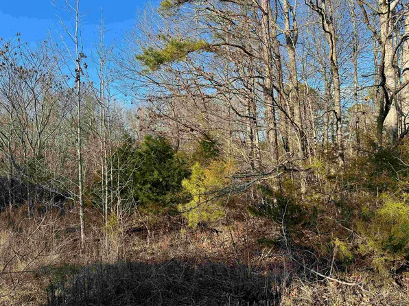 36 Hames Cemetery Ln, Olivehill, TN 38475