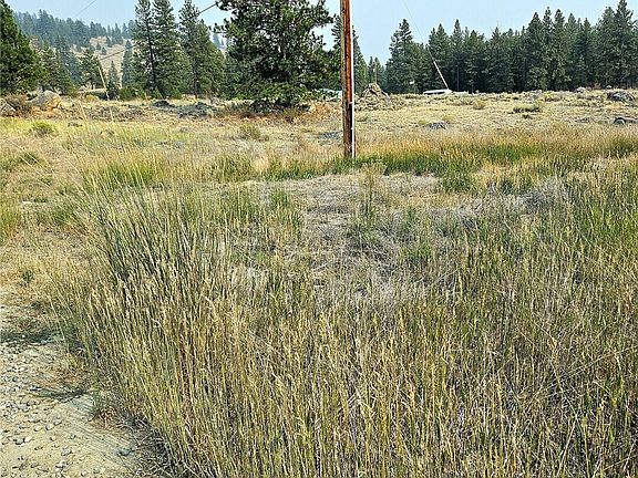5th image of 41 TBD Main Rd