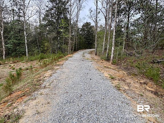 4th image of 8104 Patricks Landing Rd