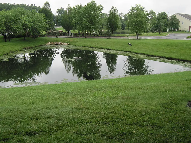 Grounds of Tomahawk Creek Condomoimniums.