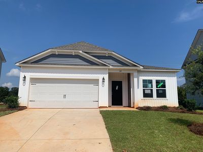 349 Griffon Dr, Chapin, SC, 29036