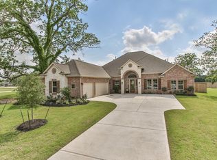 32710 Waxberry Ct, Weston Lakes, TX 77441