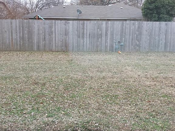 Back yard