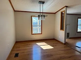 232 Frying Pan Hollow Rd — Photo 30
