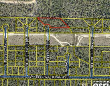 Shellbark Ln, Defuniak Springs, FL, 32433