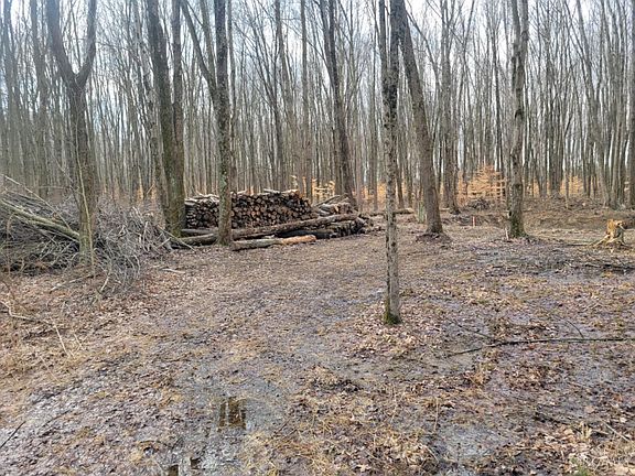 3rd image of 6115 Manila Rd