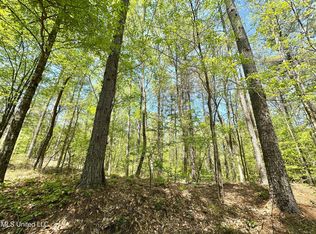 0 County Road 375, Carrollton, MS 38917