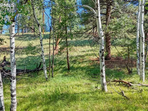91 Antelope Cir, Florissant, CO 80816